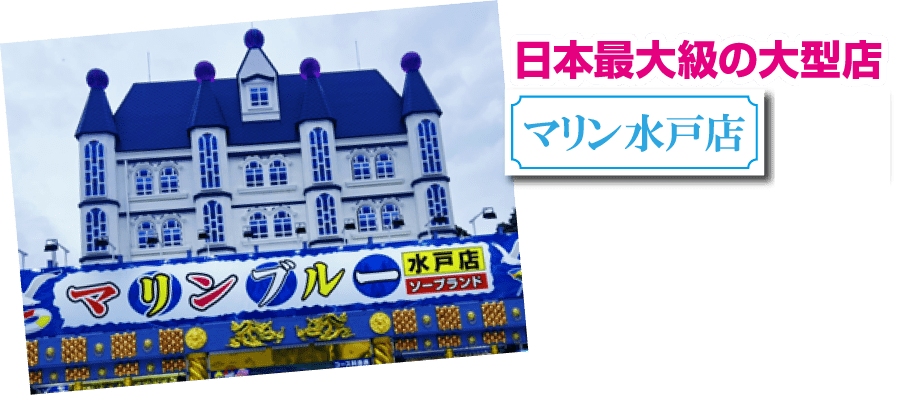 日本最大級の大型店 マリン水戸店の、まるでお城のように壮大な外観を写した写真とそのキャプション